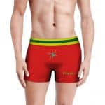 Classic Retro Colors Stark Industries Men's Underwear