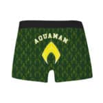 DC Comics Aquaman Pattern Art Green Men's Underwear