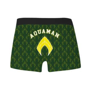 DC Comics Aquaman Pattern Art Green Men's Underwear