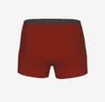 DC Comics The Flash Golden Logo Awesome Red Men_s Boxers